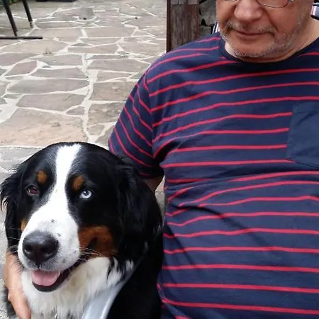 Ferien Und Selbstversorgerhaus Fuer Gruppen Sauerthaler Hof - Loreley * Sauerthal